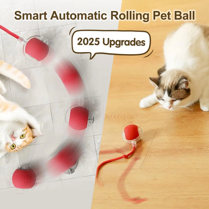 Pet Ball Toys