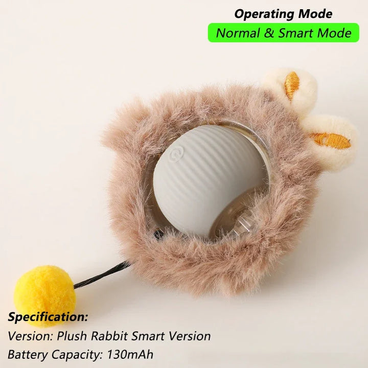 Pet Ball Toys