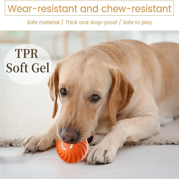 Smart Interactive Bouncing Ball – USB Rechargeable Pet Toy