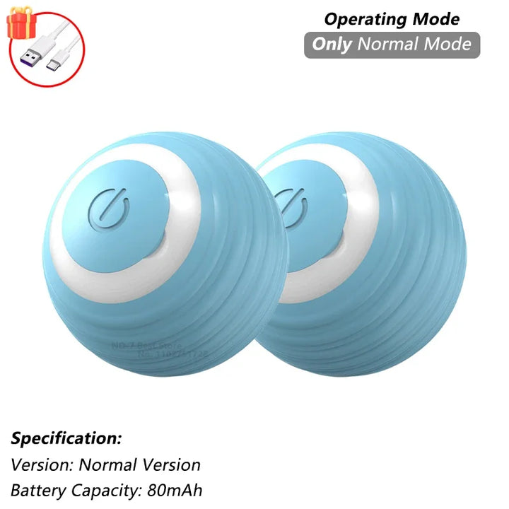 Pet Ball Toys