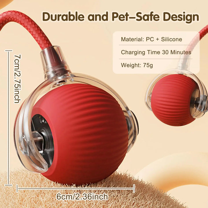 Pet Ball Toys
