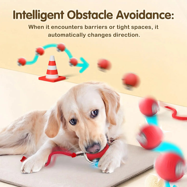 Pet Ball Toys