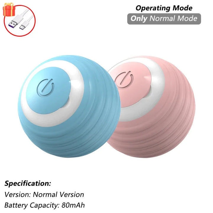 Pet Ball Toys