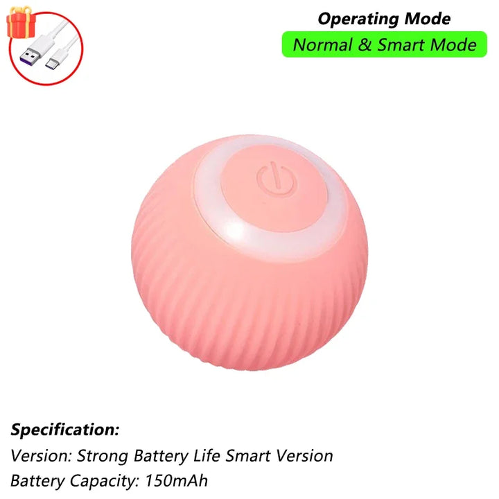 Pet Ball Toys
