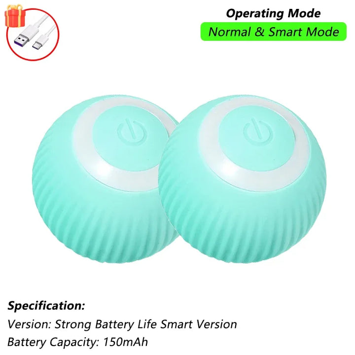 Pet Ball Toys