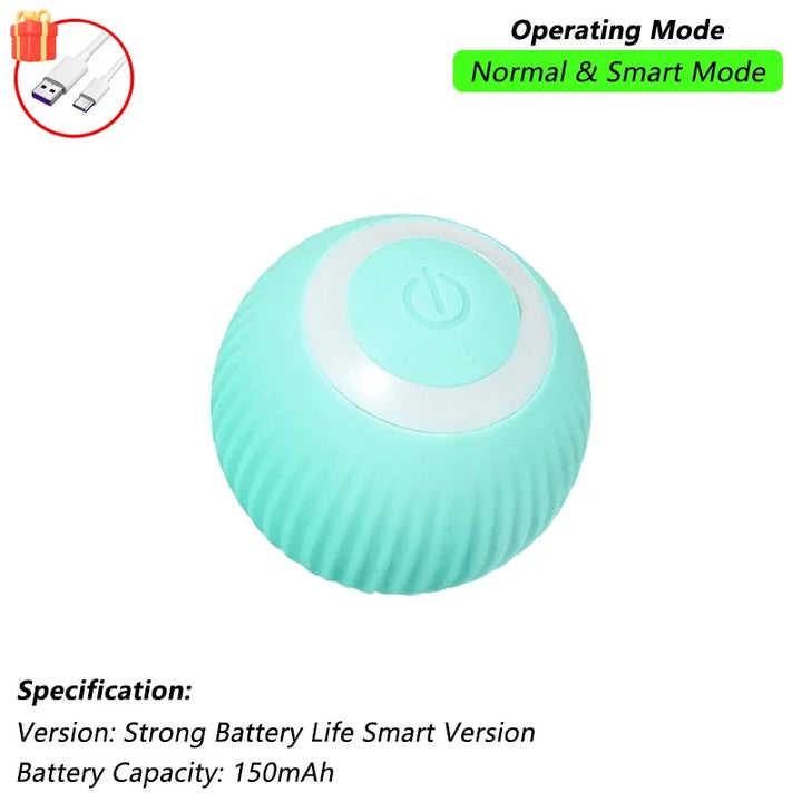 Pet Ball Toys