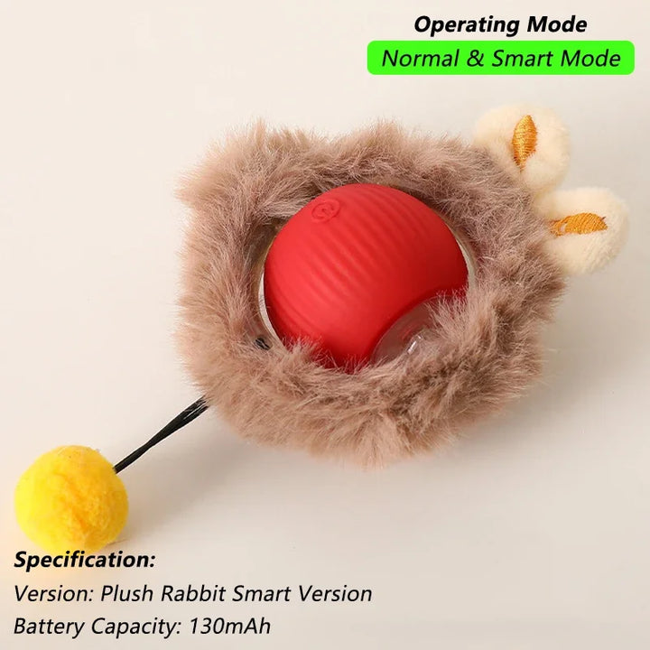 Pet Ball Toys